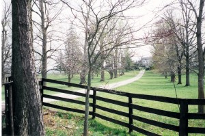 entrance into Springfield farm