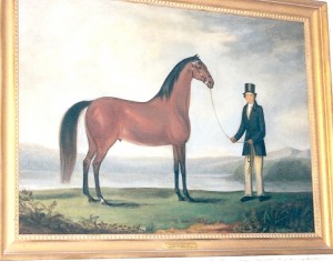 Painting of Byron - Josiah's horse